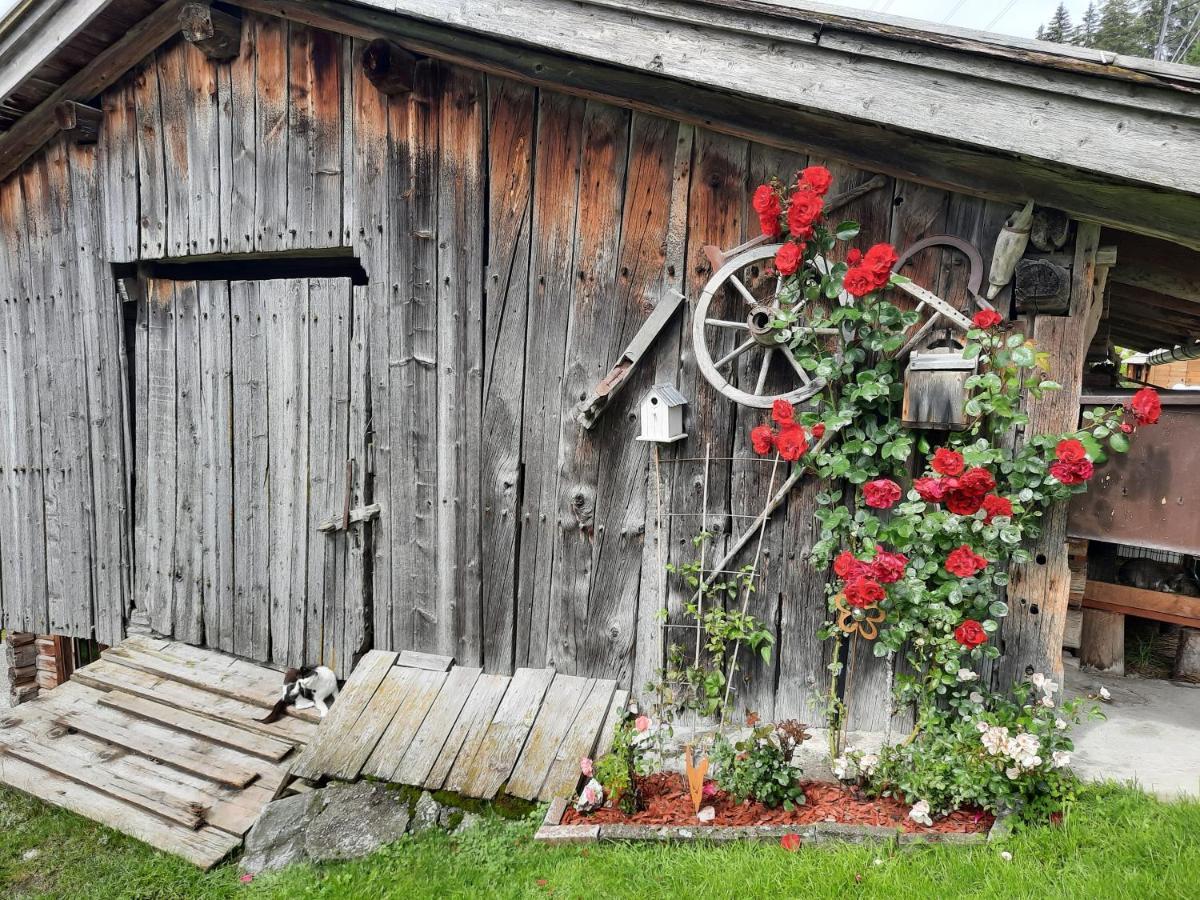Ferienwohnungen Rieder Gerlos Exterior foto